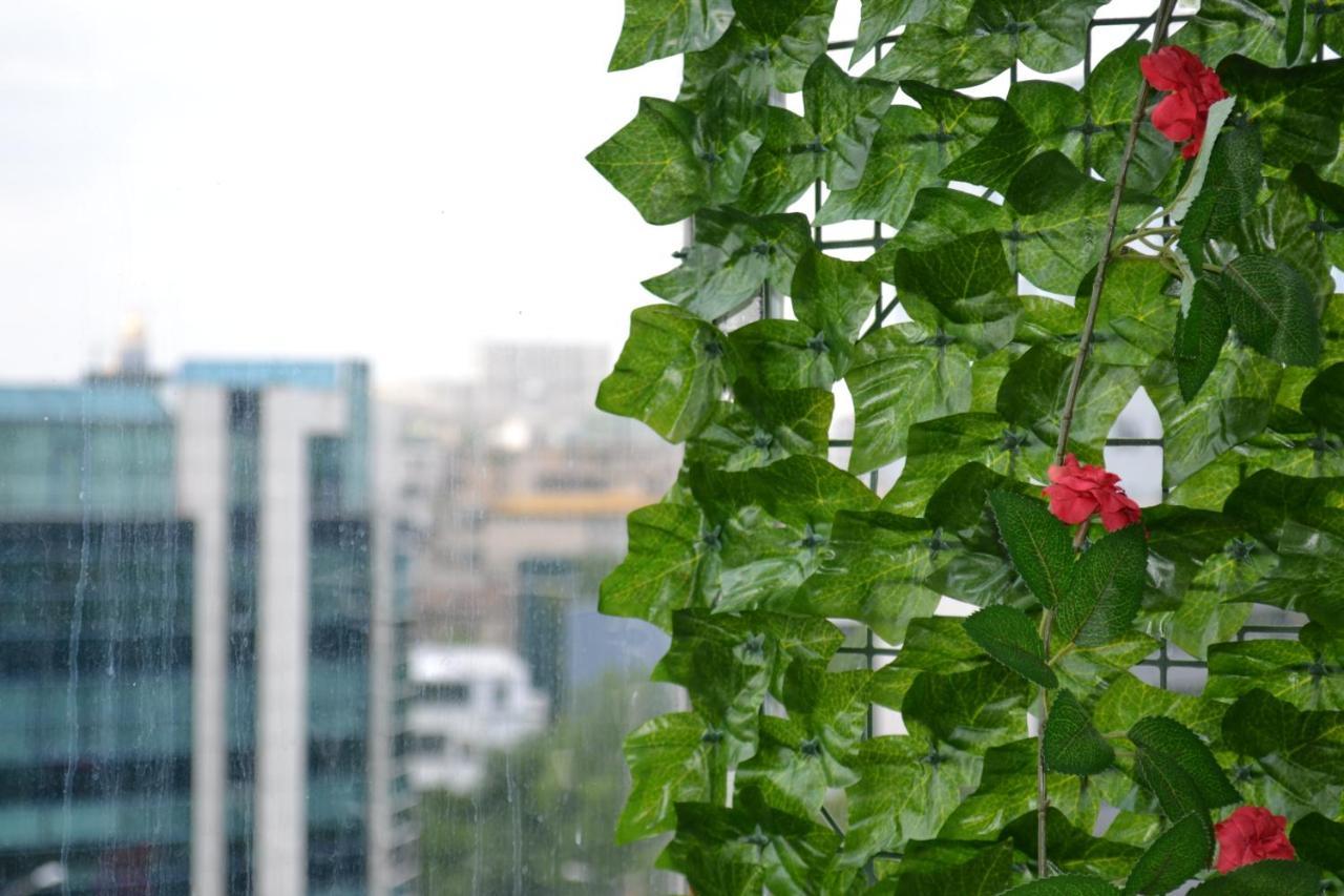 Dreams By The River Apartment Bucharest Exterior photo